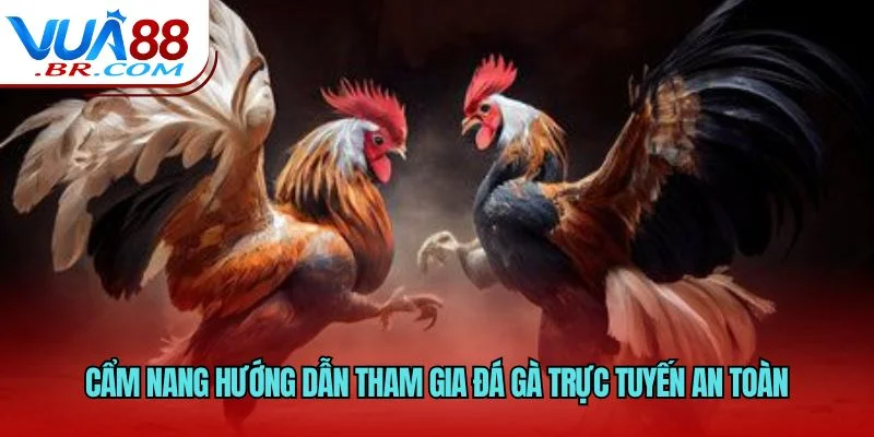 Cẩm nang hướng dẫn tham gia đá gà trực tuyến an toàn