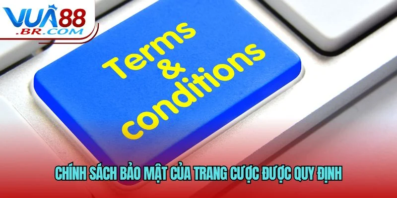 Chính sách bảo mật của trang cược được quy định