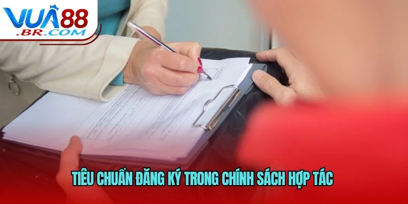 Tiêu chuẩn đăng ký trong chính sách hợp tác 