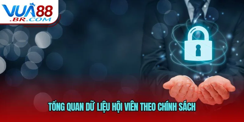 Tổng quan dữ liệu hội viên theo chính sách